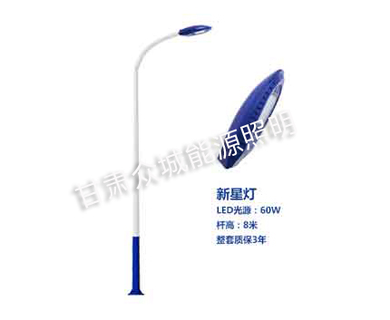 镇原爆款市电路灯